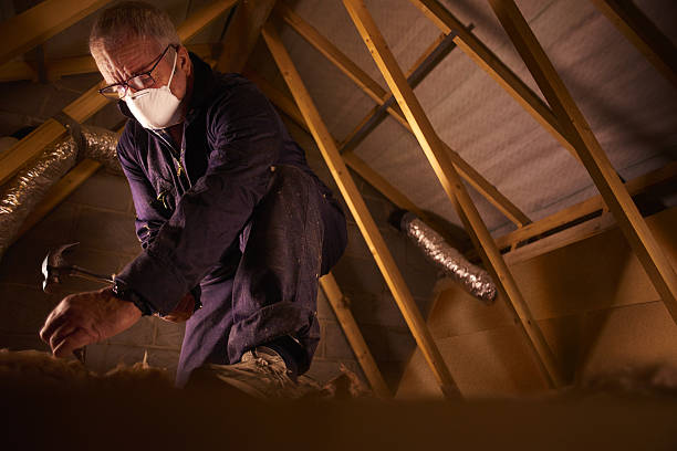 Best Specialty Insulation in Mayo, FL